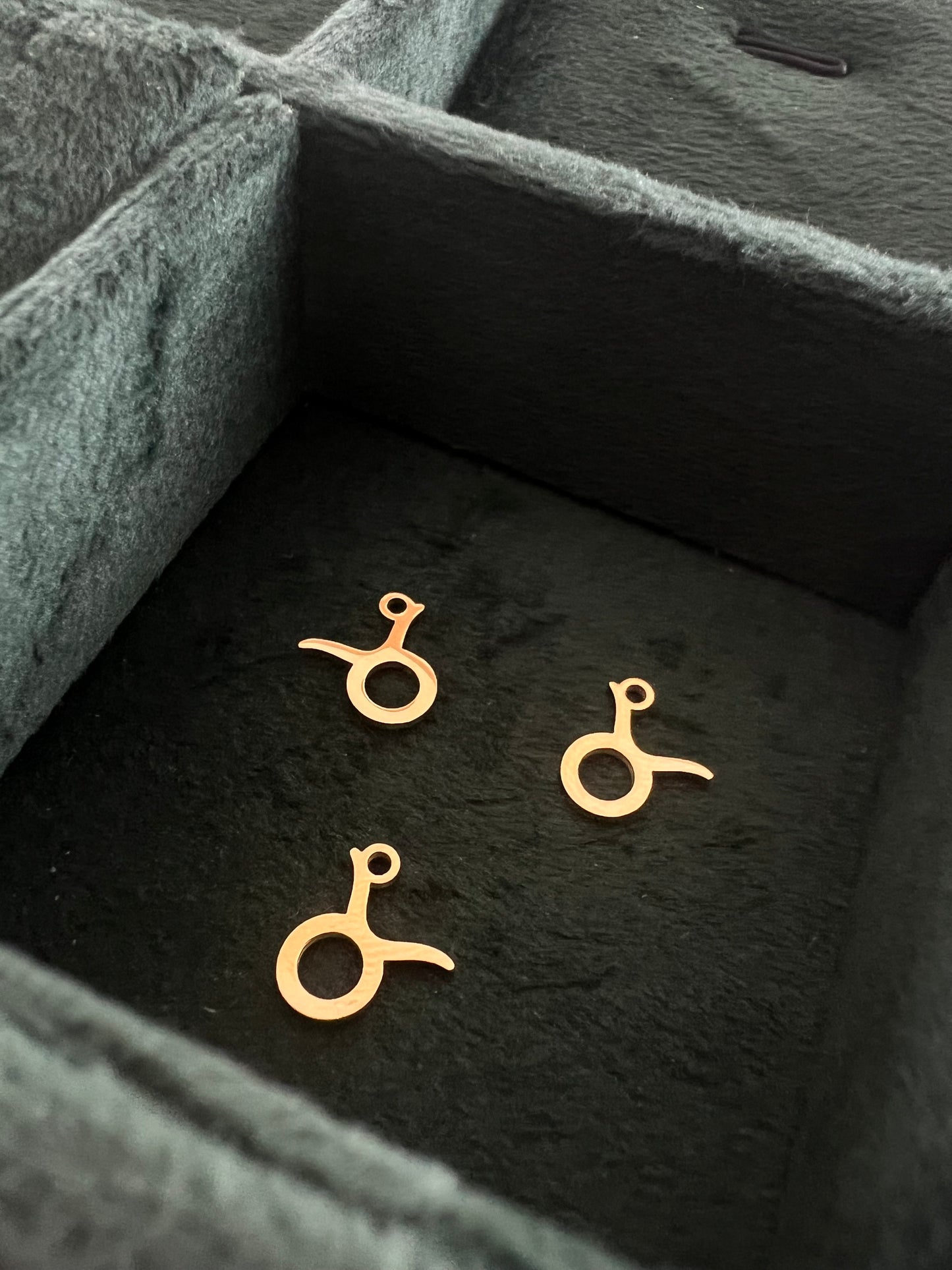 Gold Taurus Charm