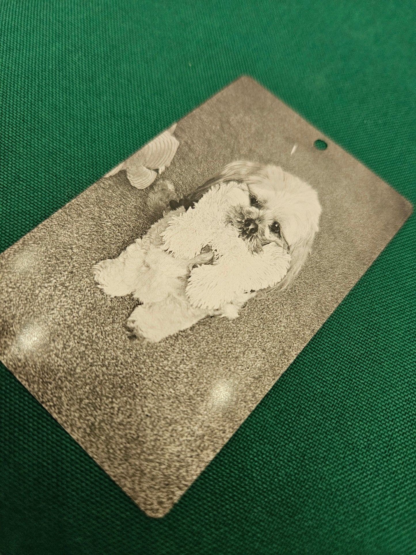 Metal Picture Card