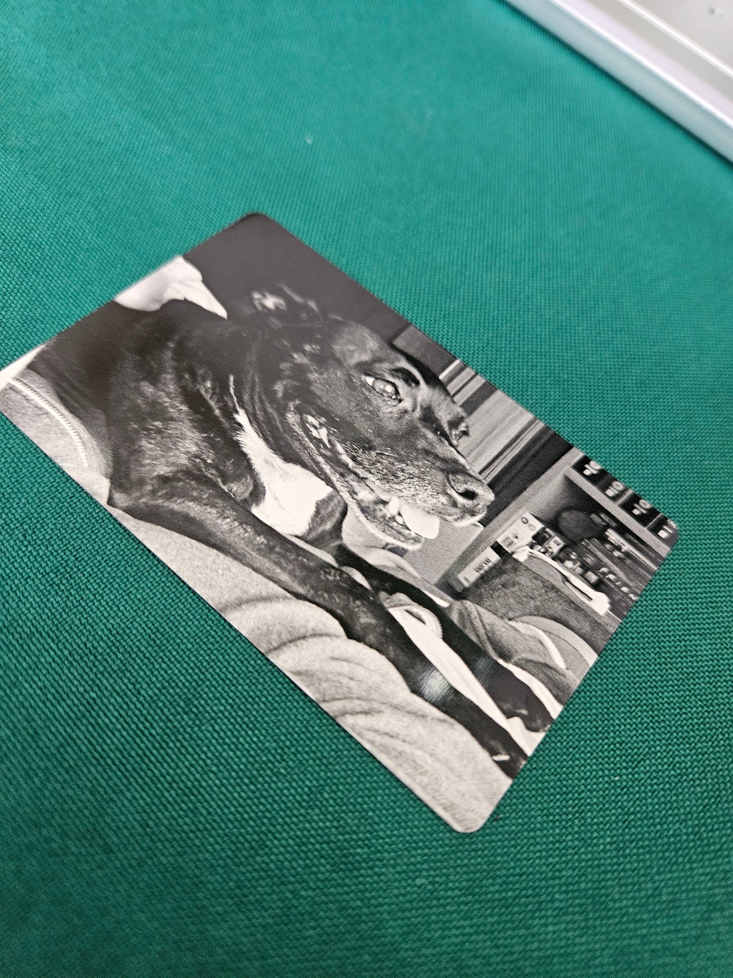 Metal Picture Card