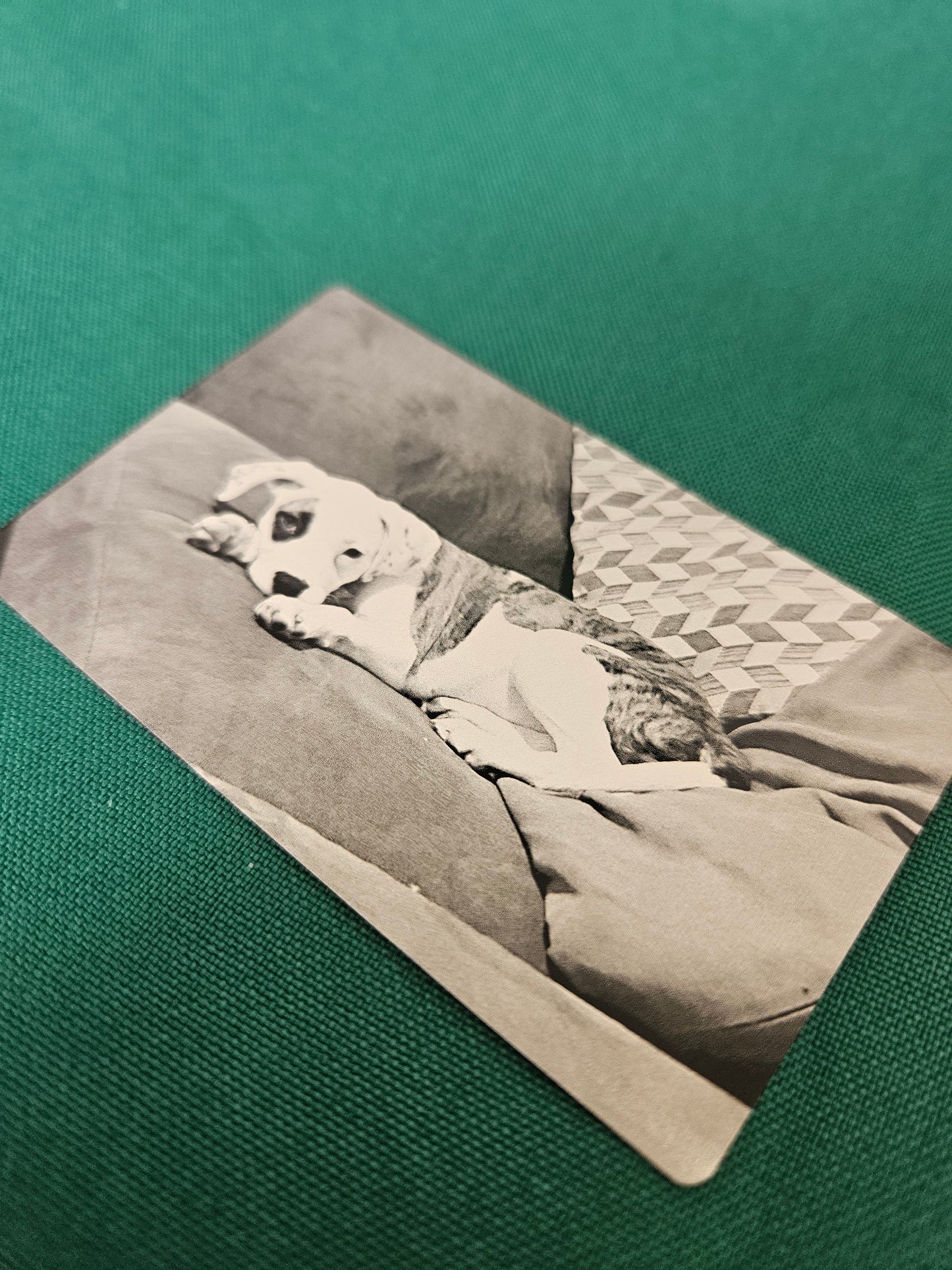 Metal Picture Card